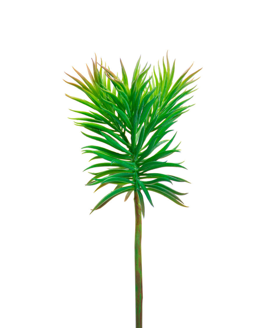 Spike Succulent Artificial Foliage Pick S4545-GR