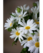 12.5" Daisy Silk Flower Stem Spray (x 3) with Bud S4562