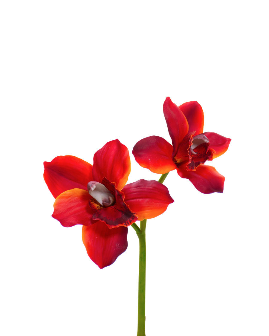 11" Artificial Cymbidium Orchid Flower Stem S4566