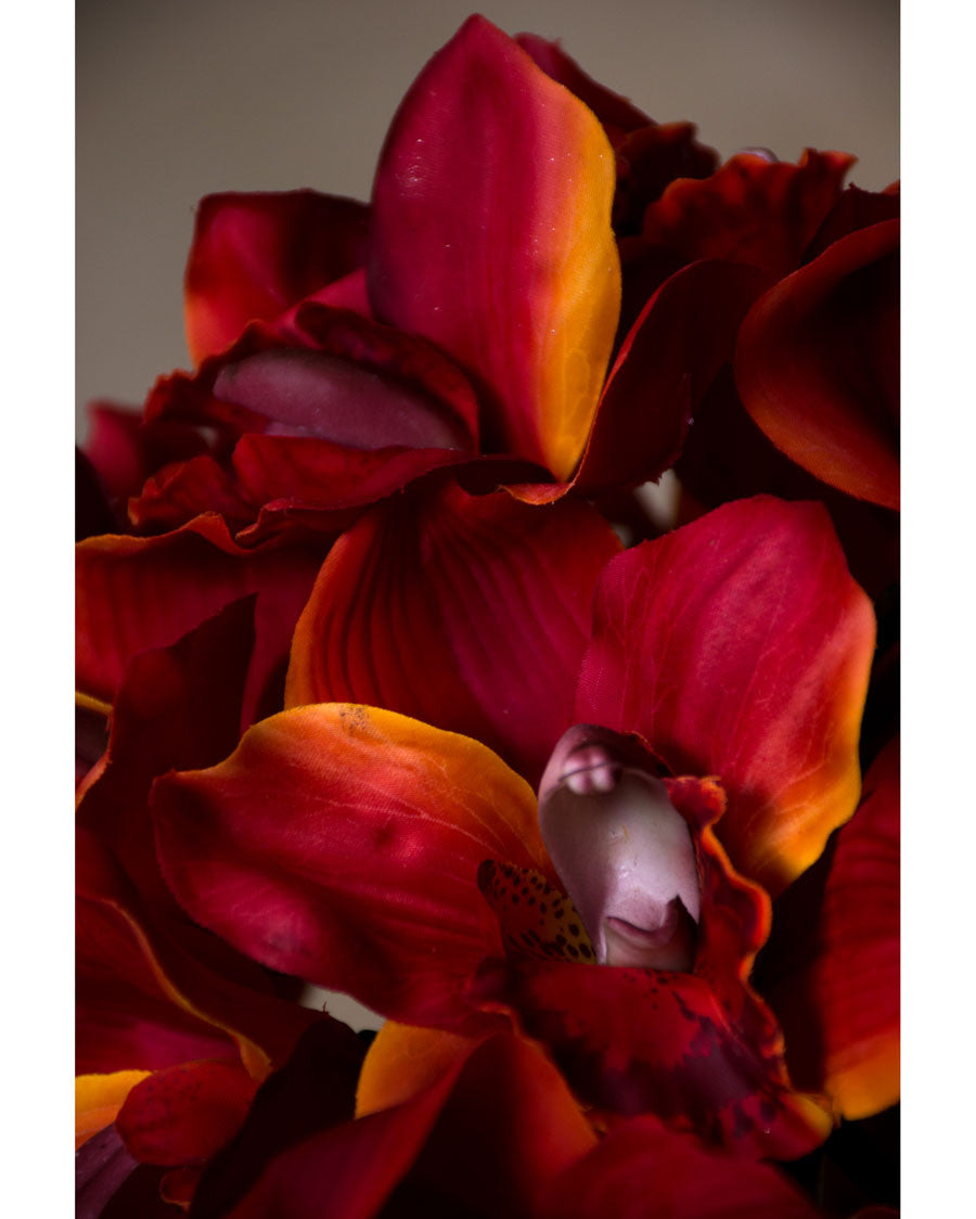 11" Artificial Cymbidium Orchid Flower Stem S4566