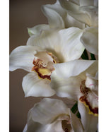 11" Artificial Cymbidium Orchid Flower Stem S4566