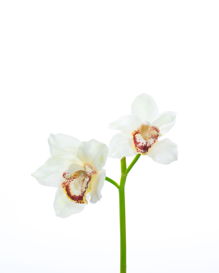 11" Artificial Cymbidium Orchid Flower Stem S4566