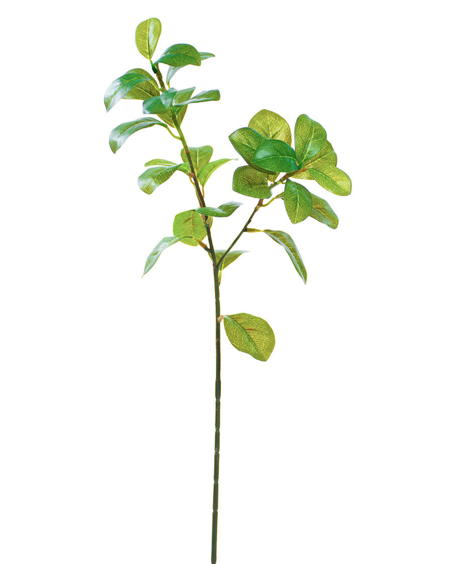 24" Westland Artificial Ficus Leaf Foliage Branch S4569-GR