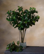 24" Westland Artificial Ficus Leaf Foliage Branch S4569-GR