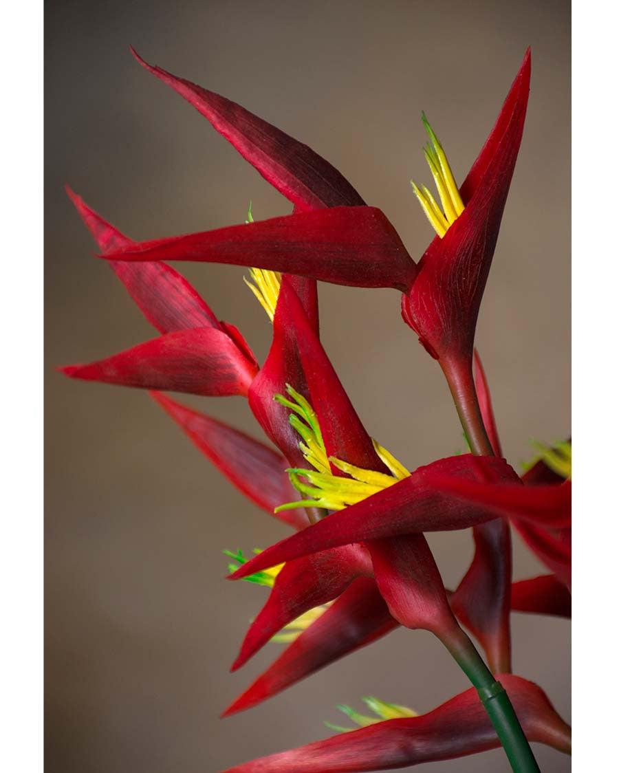 29" Faux Heliconia Flower Stem S4580
