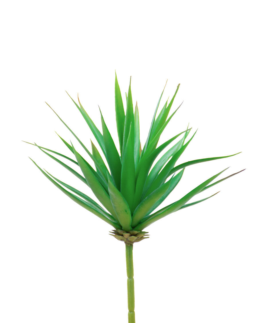 Medium Agave Succulent Artificial Foliage Pick S4585-GR