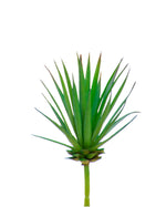 Small Agave Succulent Artificial Foliage Pick S4586-GR