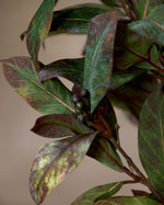 38" Round Laurel Artificial Foliage Stem S4637-AU