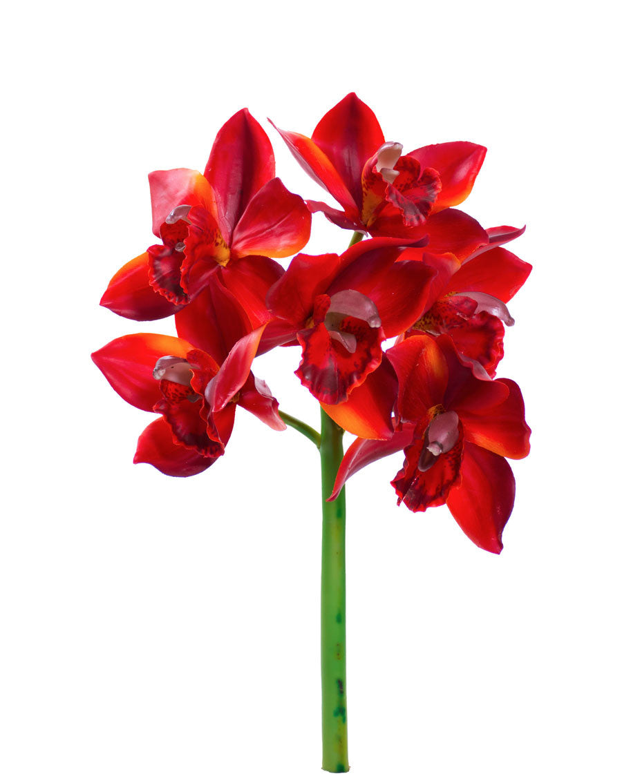 15" Cymbidium Orchid Faux Flower Stem S4638