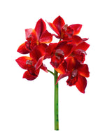 15" Cymbidium Orchid Faux Flower Stem S4638