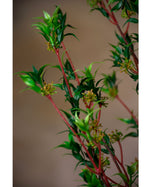 33" Wormwood Artificial Foliage Spray S4641-GRYE