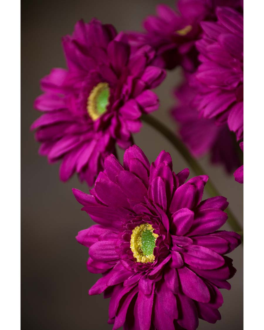 18.5" Silk Gerbera Daisy Flower Stem S4665