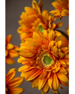 18.5" Silk Gerbera Daisy Flower Stem S4665