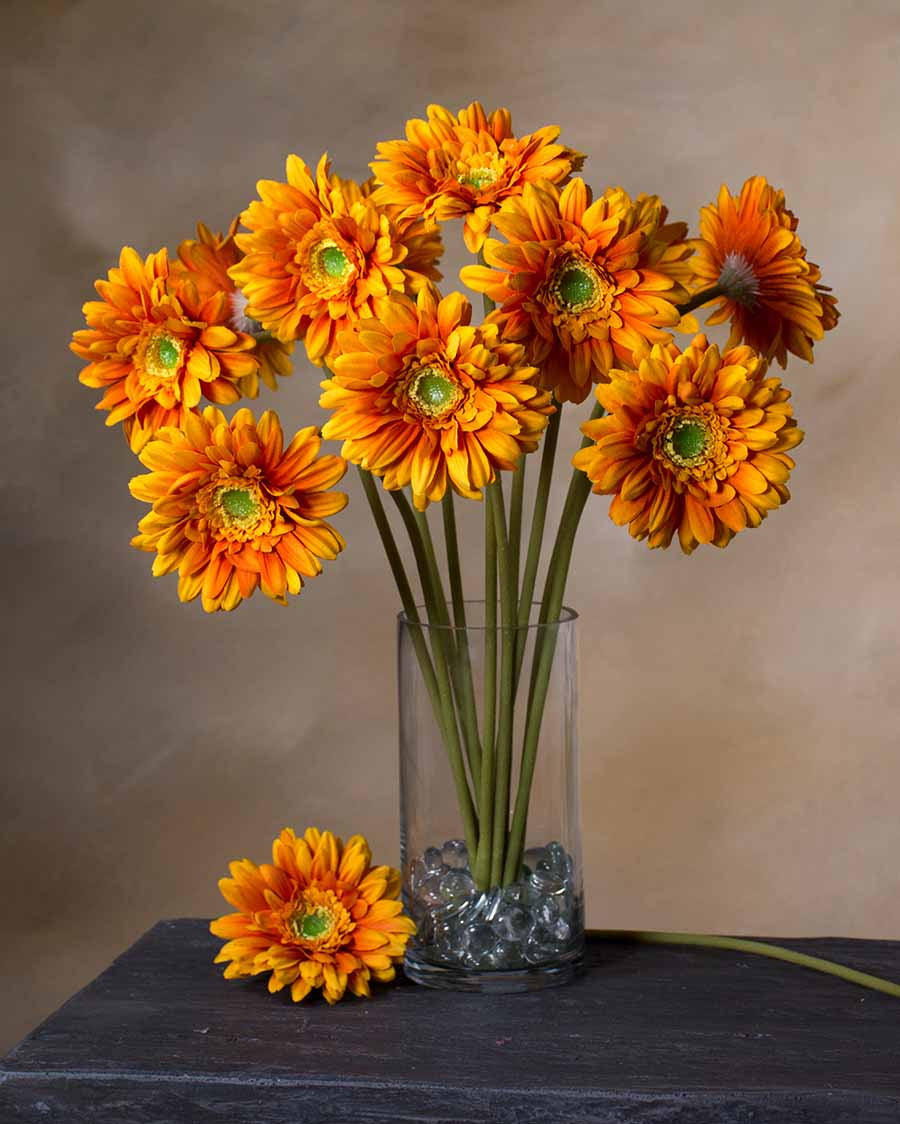 18.5" Silk Gerbera Daisy Flower Stem