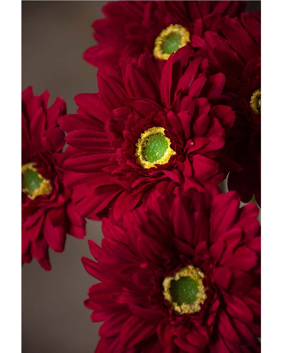 18.5" Silk Gerbera Daisy Flower Stem S4665