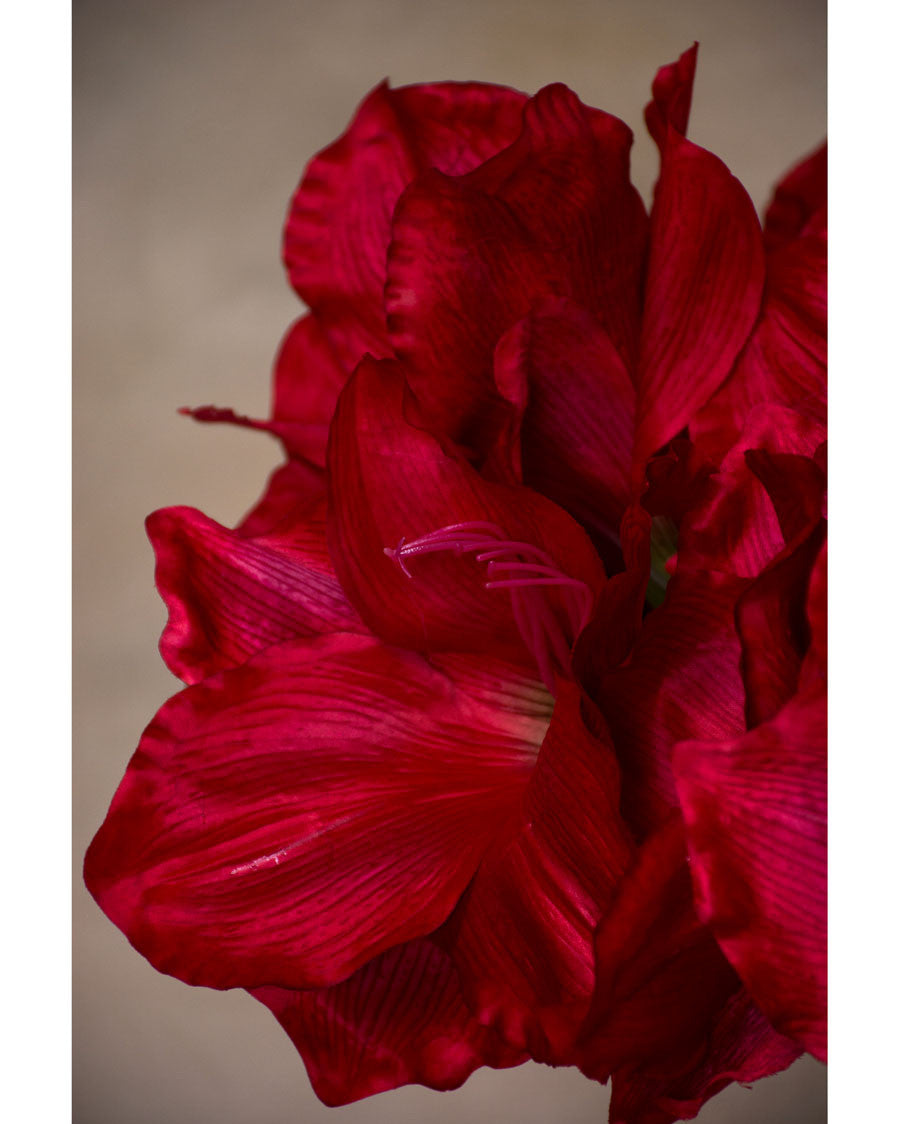 32" Faux Amaryllis Flower Stem S4666