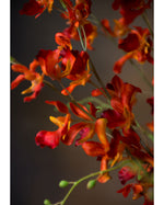 38" Artificial Dancing Orchid Flower Stem S4667