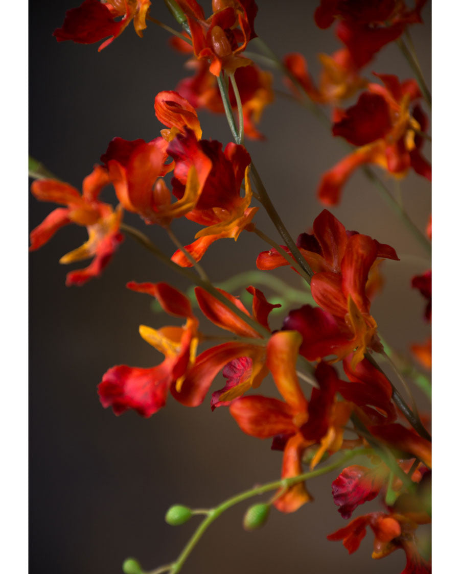 38" Artificial Dancing Orchid Flower Stem S4667