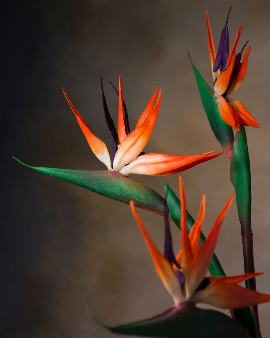 33" Artificial Bird of Paradise Flower Stem S4675-ORPU