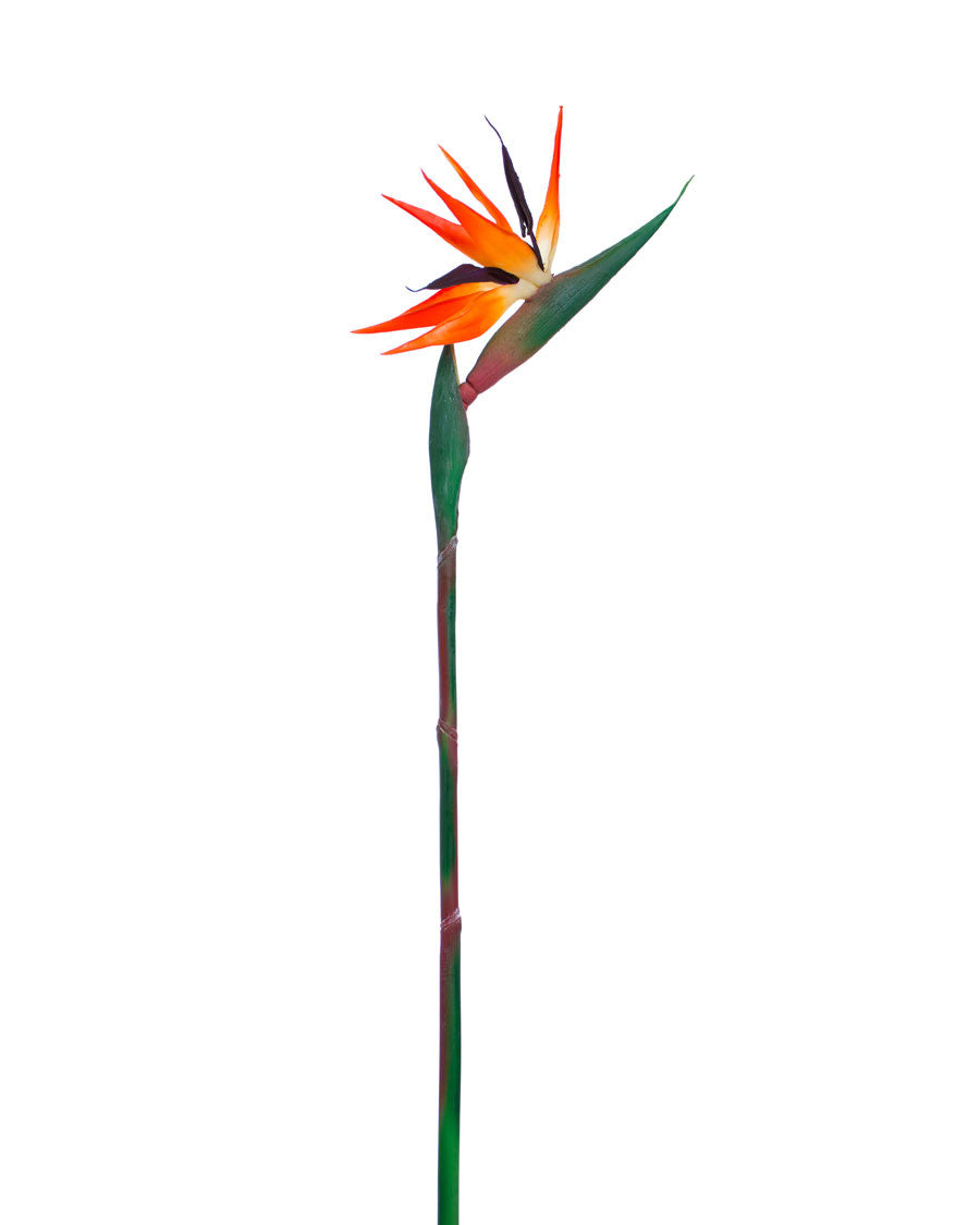 33" Artificial Bird of Paradise Flower Stem S4675-ORPU