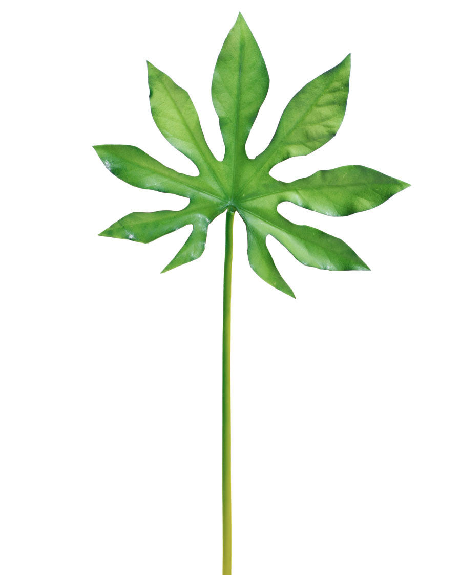 20" Faux Monstera Leaf Foliage Stem S4681-GR