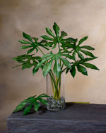 20" Faux Monstera Leaf Foliage Stem S4681-GR