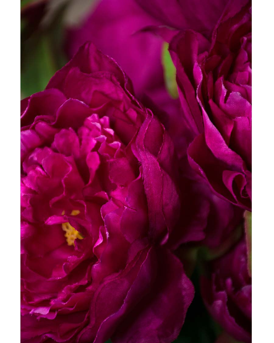 24" Peony Silk Flower Stem S4688