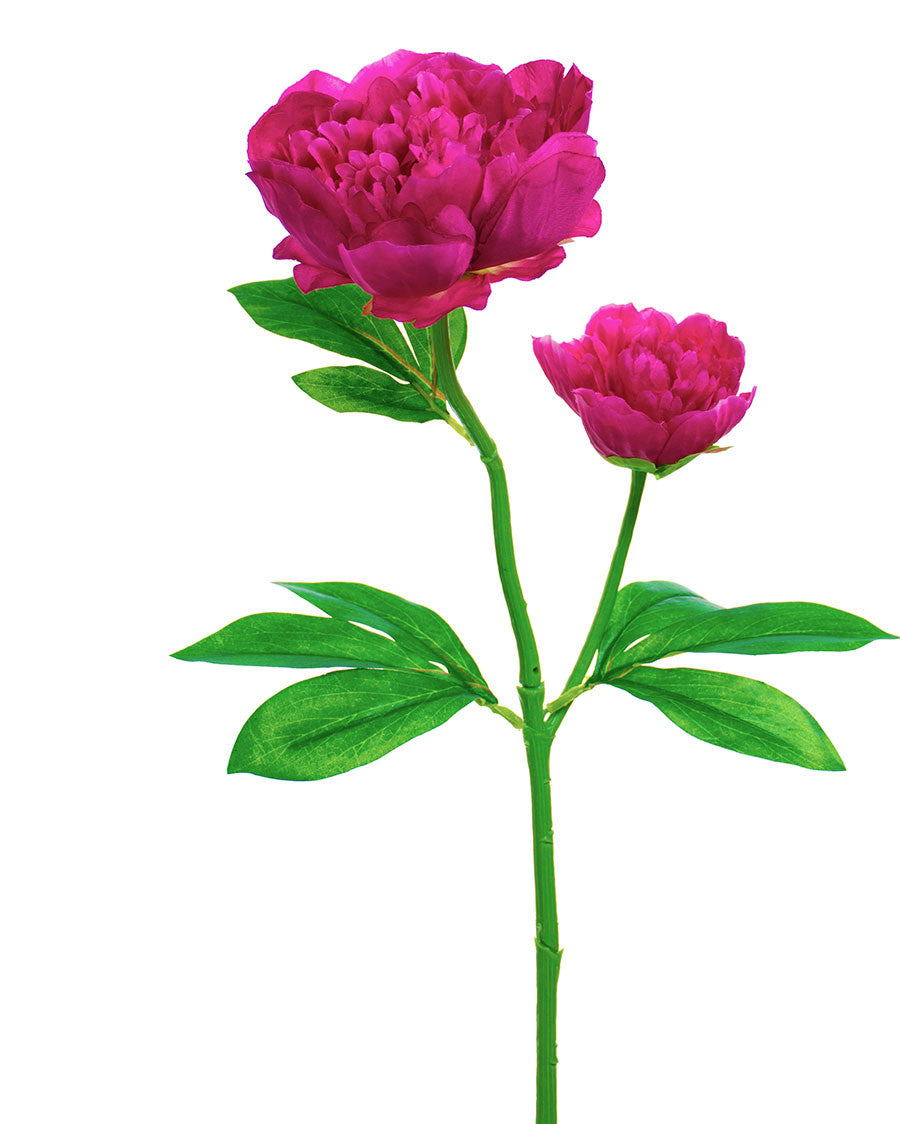 24" Peony Silk Flower Stem S4688