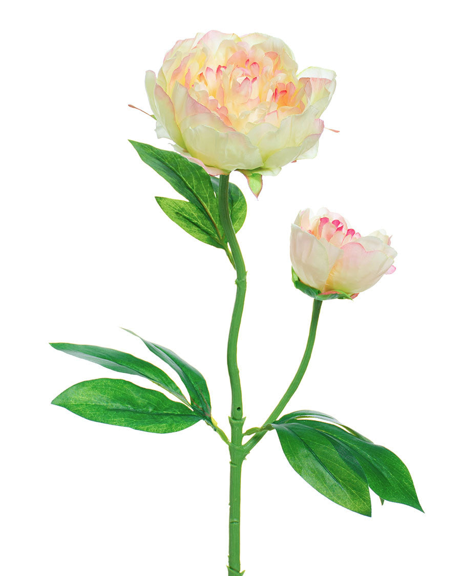 24" Peony Silk Flower Stem S4688