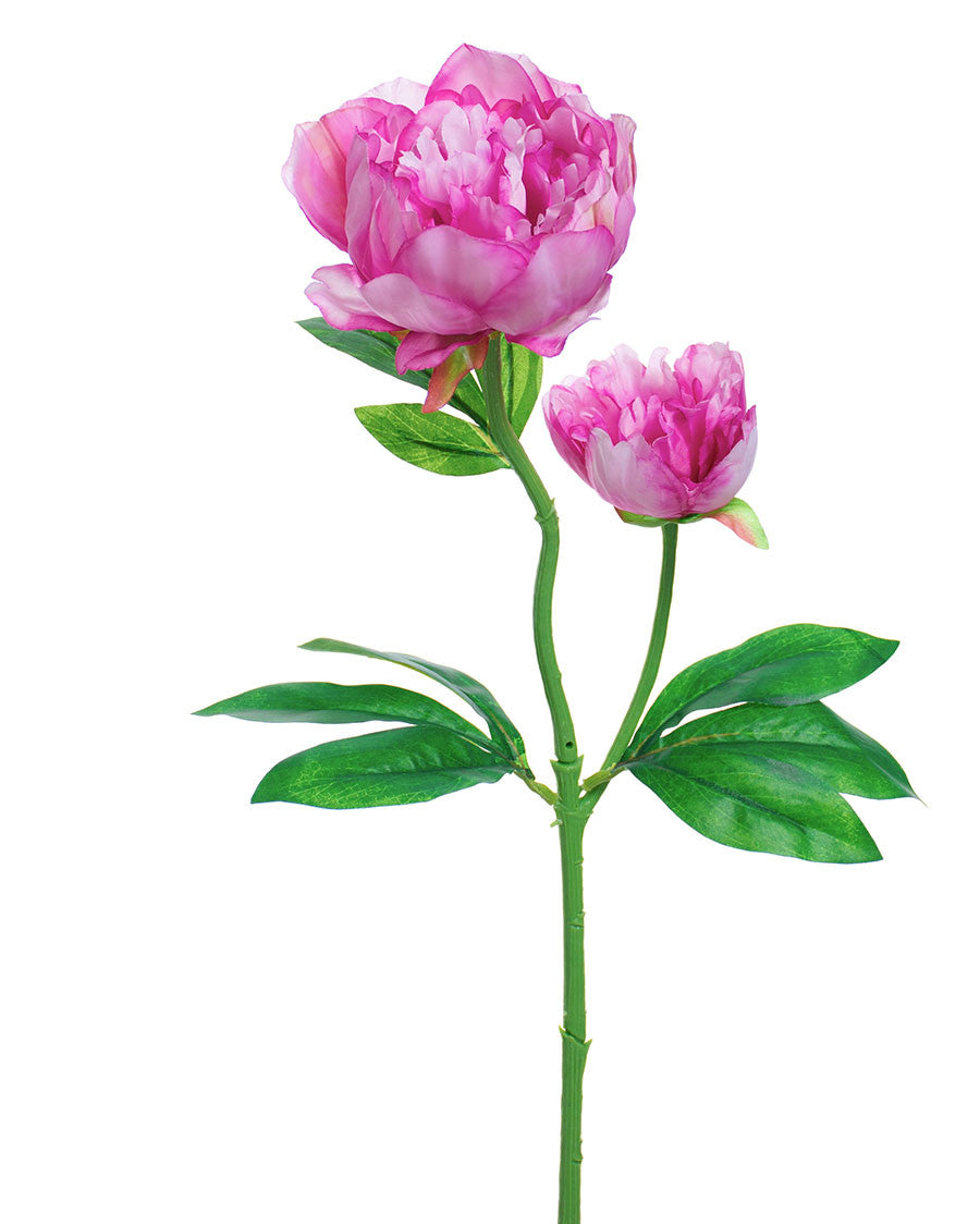 24" Peony Silk Flower Stem S4688
