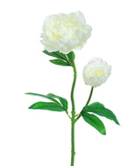 24" Peony Silk Flower Stem S4688