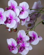 18" Mini Phalaenopsis Orchid Artificial Foliage Stem S4697
