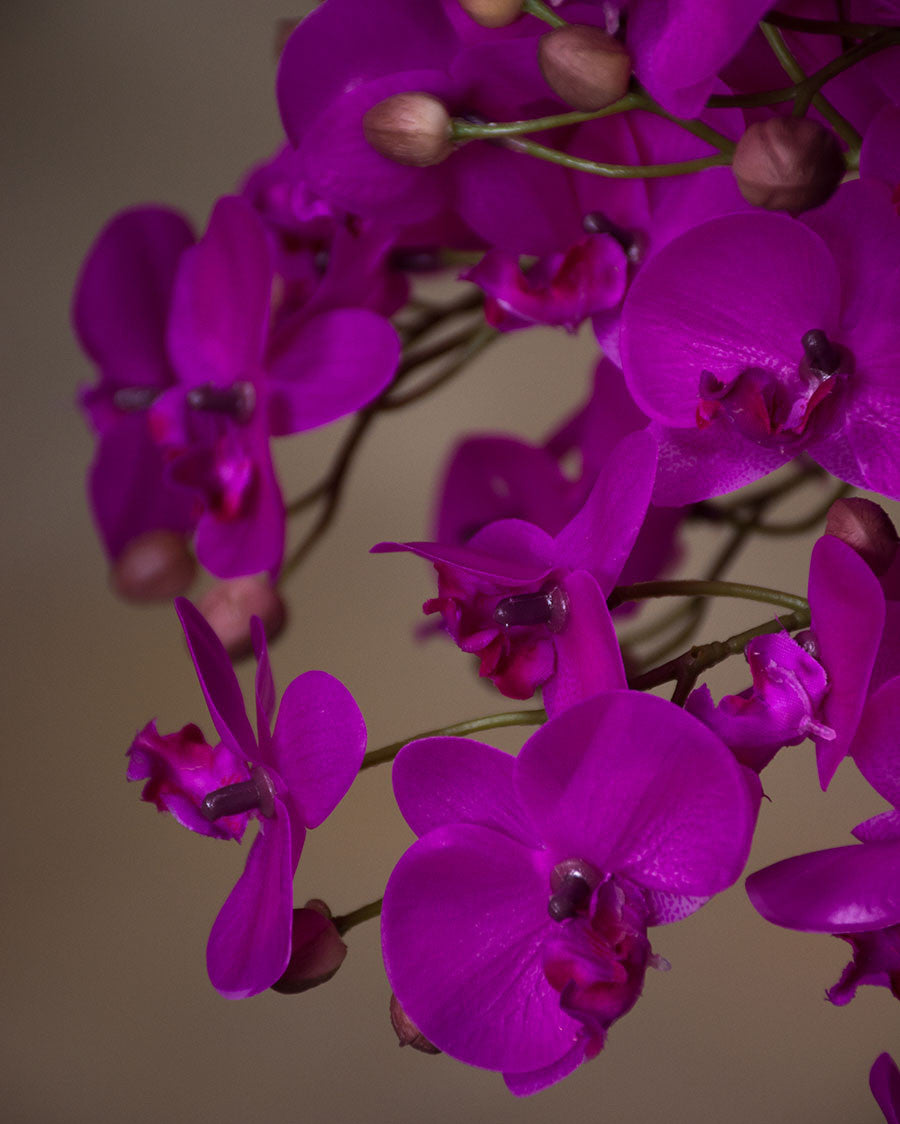 18" Mini Phalaenopsis Orchid Artificial Foliage Stem S4697