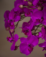 18" Mini Phalaenopsis Orchid Artificial Foliage Stem S4697