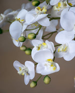 18" Mini Phalaenopsis Orchid Artificial Foliage Stem S4697