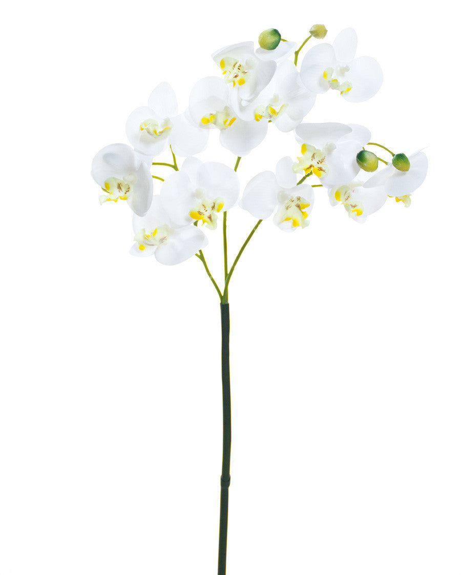 18" Mini Phalaenopsis Orchid Artificial Foliage Stem S4697