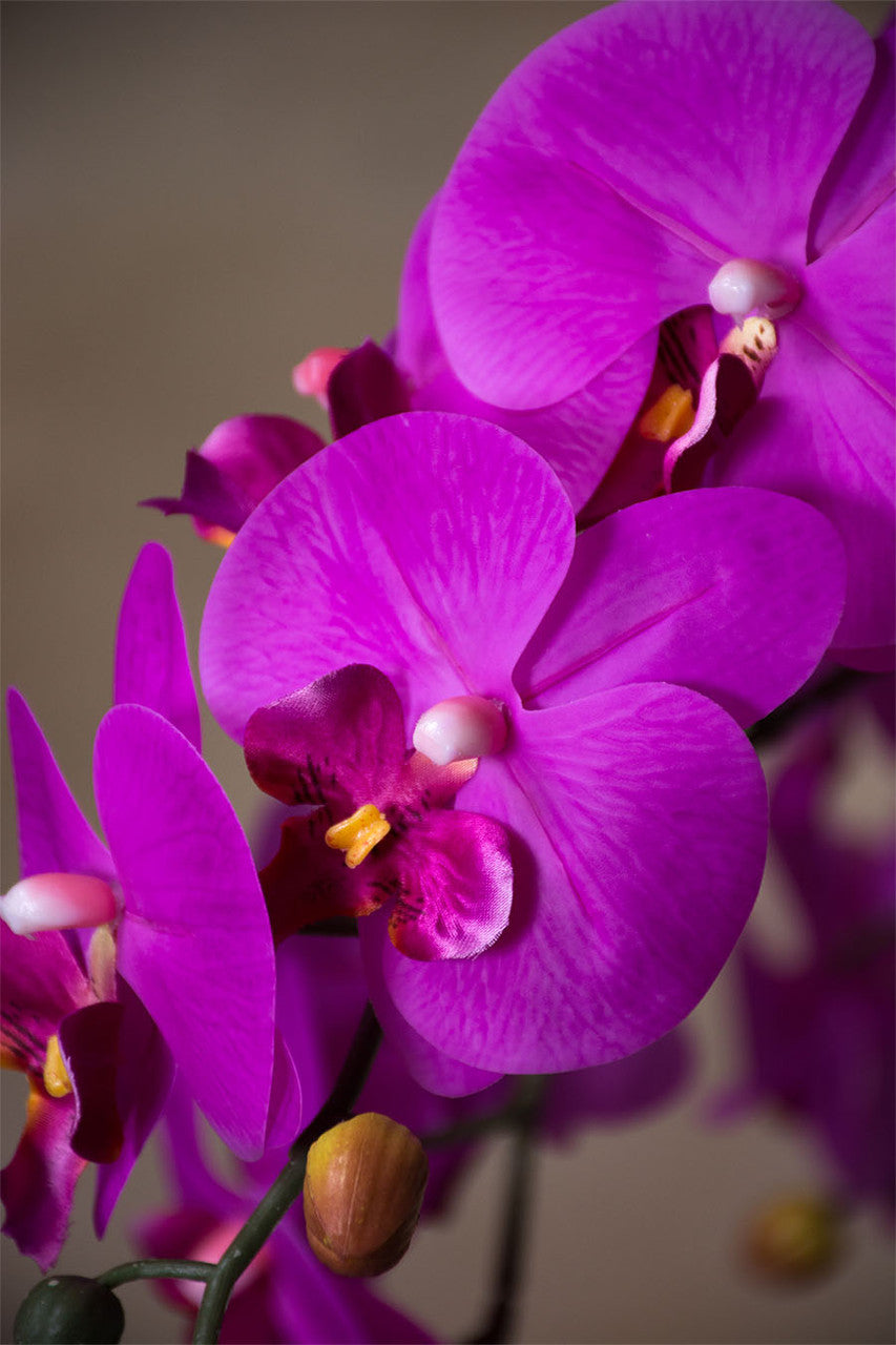 35" Floppy Phalaenopsis Faux Orchid Stem S4700