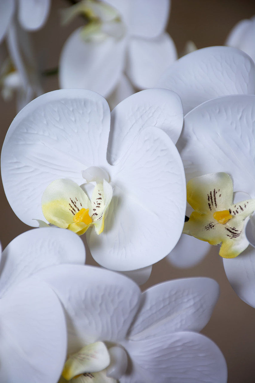 35" Floppy Phalaenopsis Faux Orchid Stem S4700