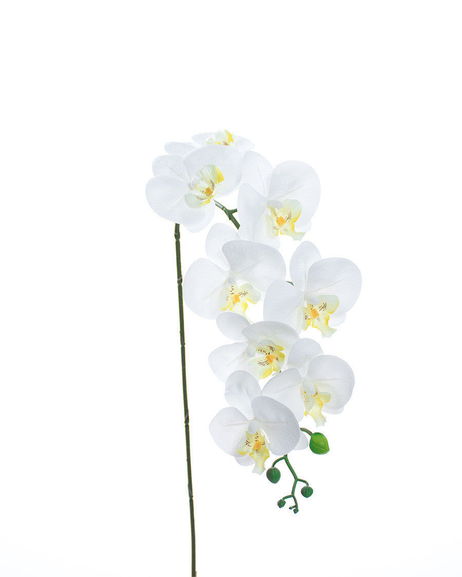 35" Floppy Phalaenopsis Faux Orchid Stem S4700
