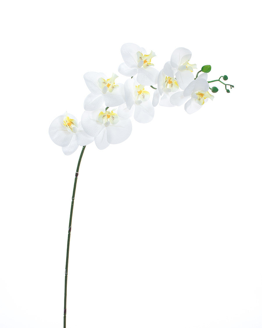35" Floppy Phalaenopsis Faux Orchid Stem S4700