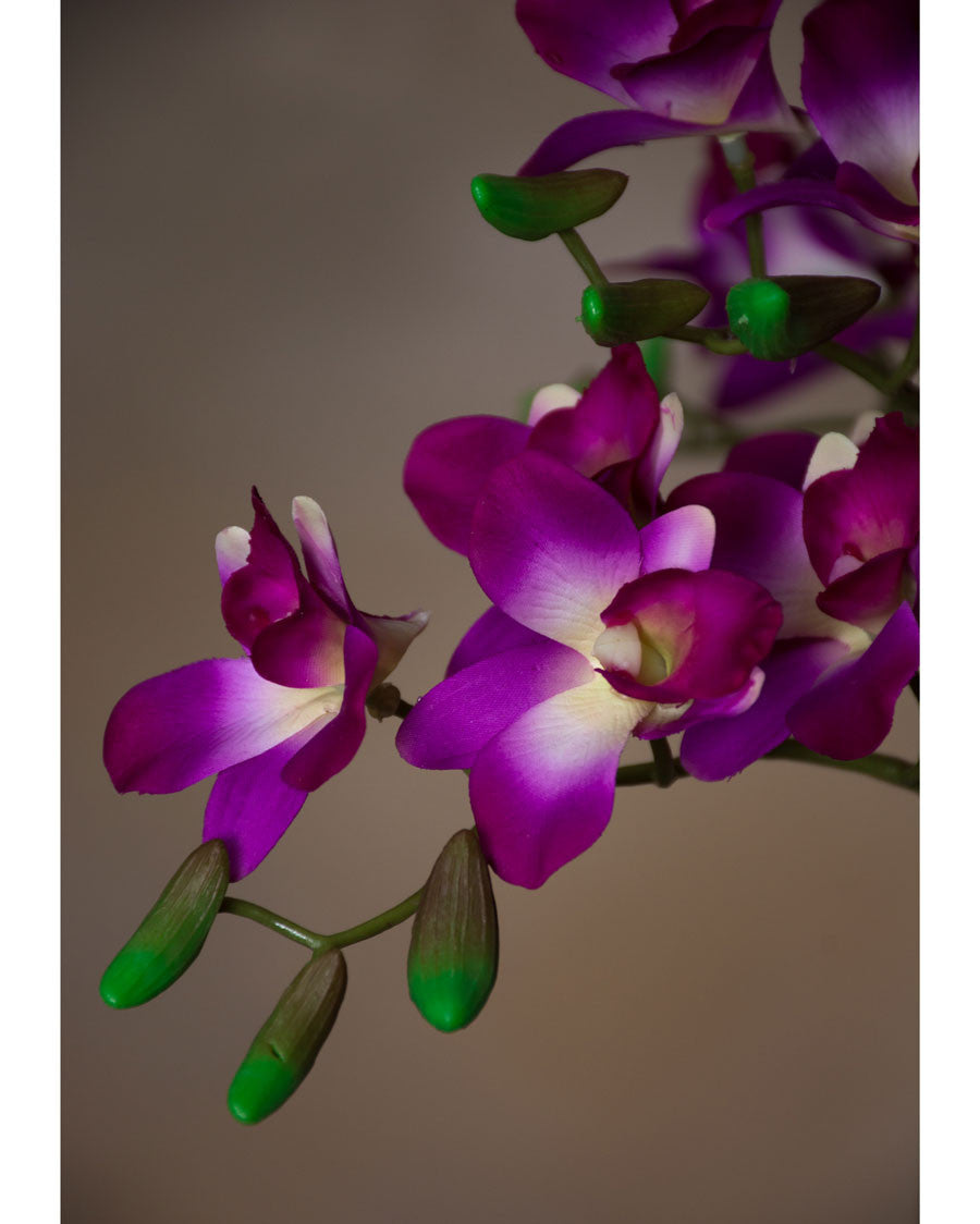 18" Artificial Mini Dendrobium Orchid Stem S4703