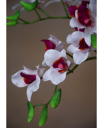 18" Artificial Mini Dendrobium Orchid Stem S4703