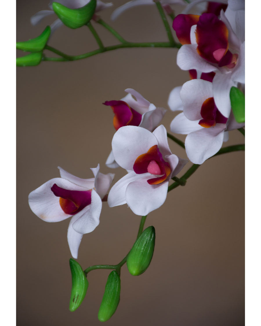 18" Artificial Mini Dendrobium Orchid Stem S4703