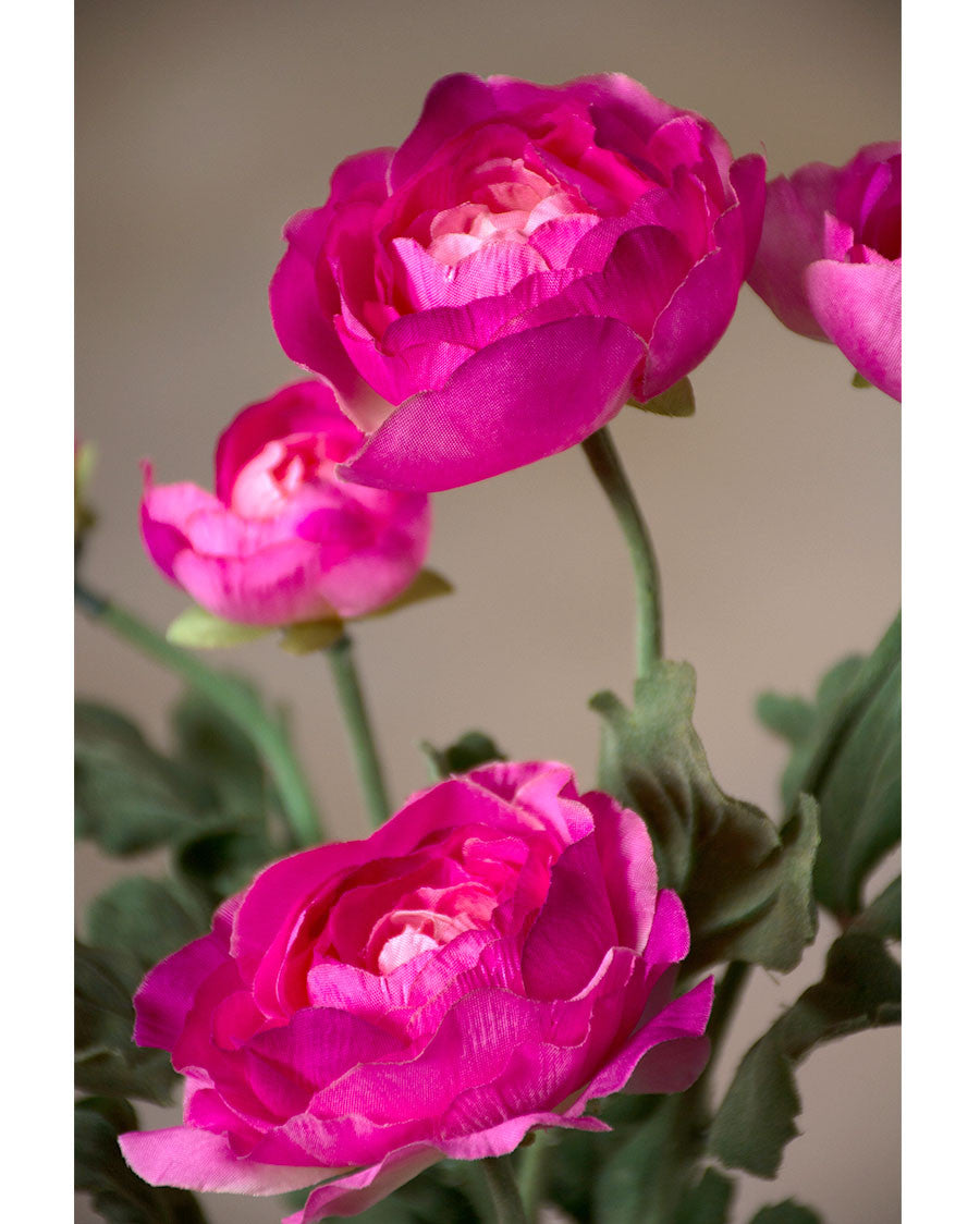 25" Fluffy Ranunculus Silk Flower Stem Spray S4706