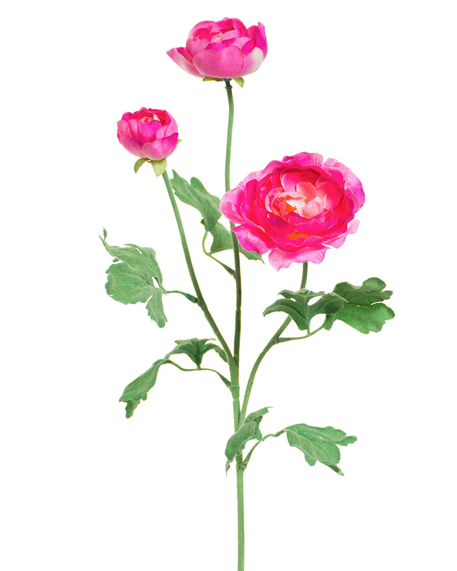 25" Fluffy Ranunculus Silk Flower Stem Spray S4706