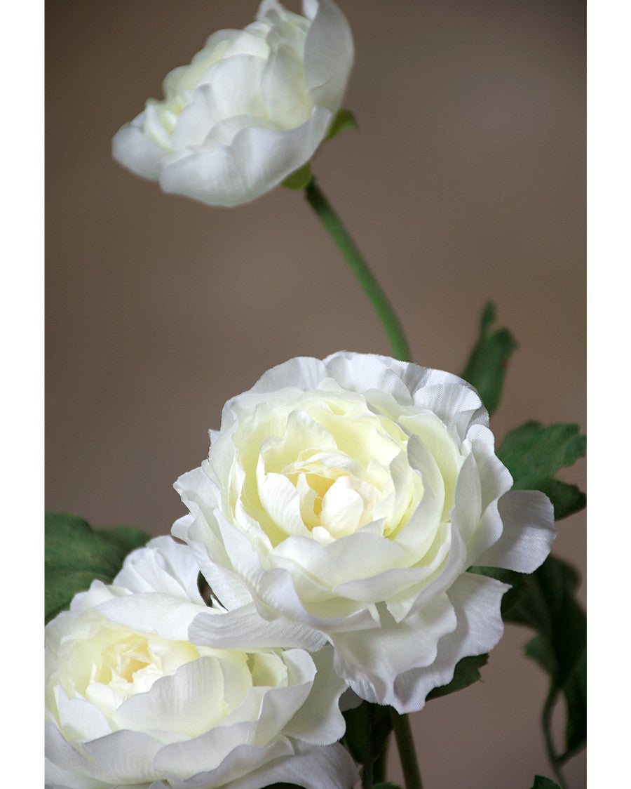25" Fluffy Ranunculus Silk Flower Stem Spray S4706