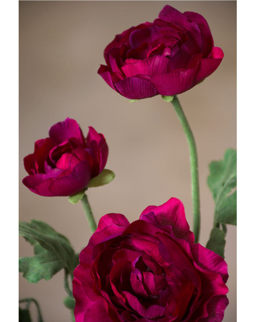 25" Fluffy Ranunculus Silk Flower Stem Spray S4706