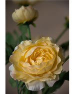 25" Fluffy Ranunculus Silk Flower Stem Spray S4706
