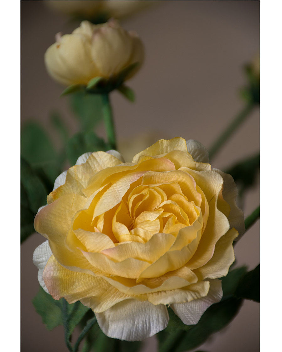 25" Fluffy Ranunculus Silk Flower Stem Spray S4706