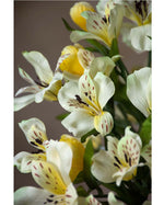 25" Alstroemeria Silk Flower Stem S4707
